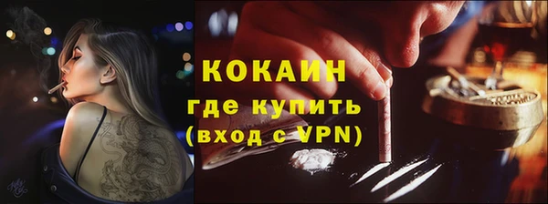 ПСИЛОЦИБИНОВЫЕ ГРИБЫ Абаза