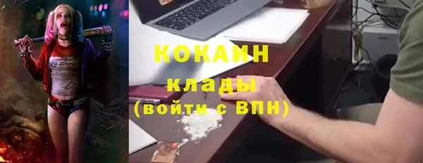 сатива Абинск