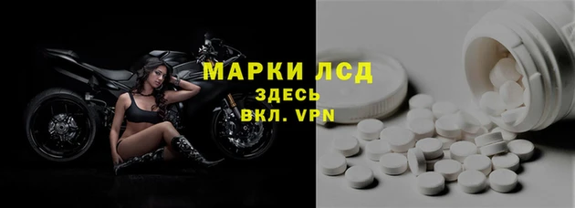 ПСИЛОЦИБИНОВЫЕ ГРИБЫ Абаза