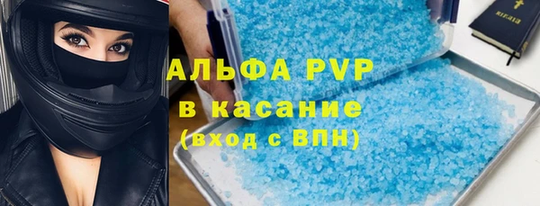 сатива Абинск