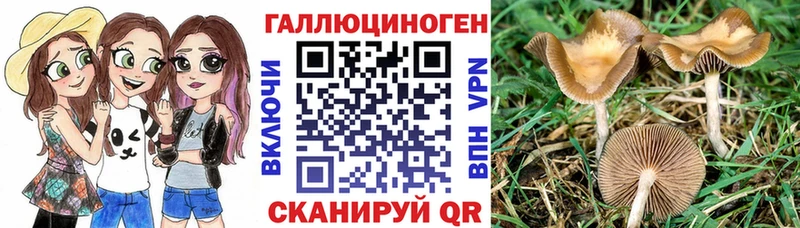 Псилоцибиновые грибы Magic Shrooms  darknet как зайти  Ирбит 